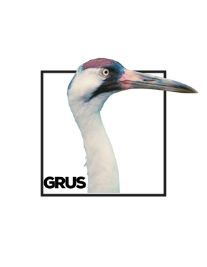 Grus Americana logo